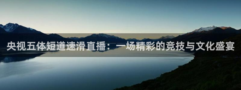 球神直播体育在线观看网站