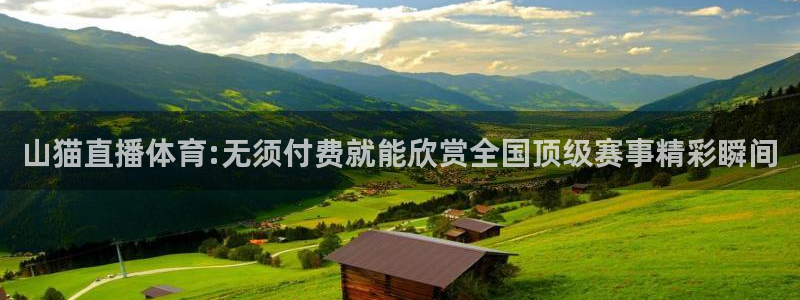 qszb球神直播首页