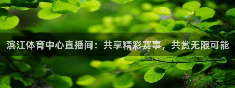 qszb球神直播首页