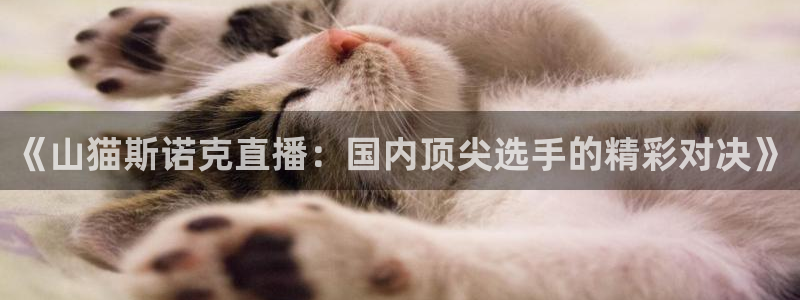 球神体育nba直播
