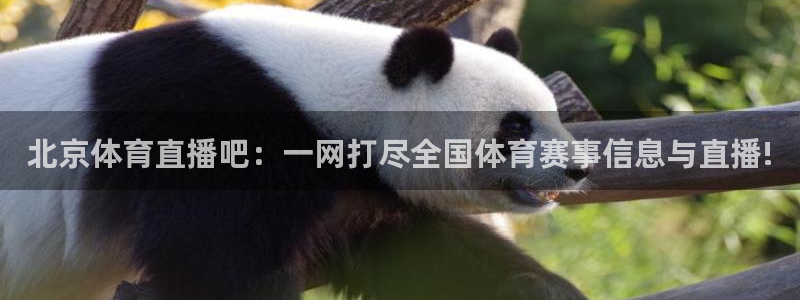 球神足球直播