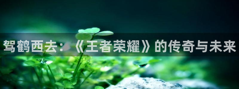 球神直播体育免费直播