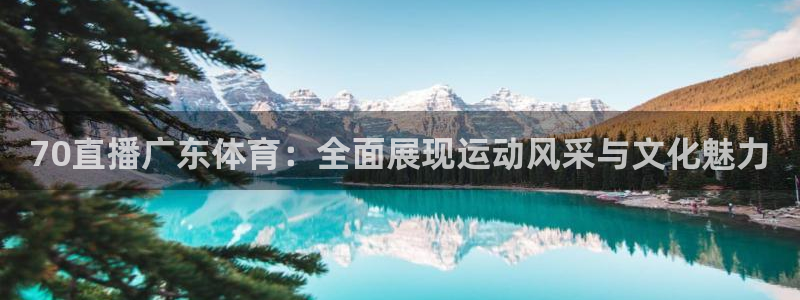 球神直播体育免费直播：70直播广东体育：全面展现运动风采与文化魅力