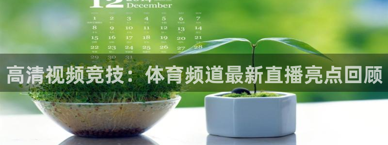 球神直播体育在线观看网站：高清视频竞技：体育频道最新直播亮点回顾