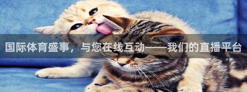 球神体育直播在线