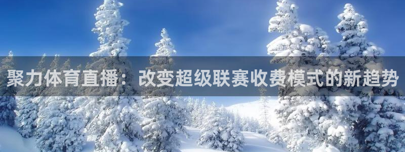 球神直播间：聚力体育直播：改变超级联赛收费模式的新趋势