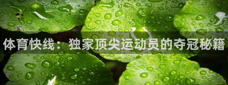 球神足球直播在线观看：体育快线：独家顶尖运动员的夺冠秘籍